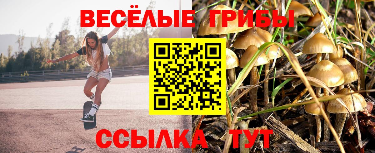 Псилоцибиновые грибы Psilocybine cubensis  Вход с VPN  Томск 