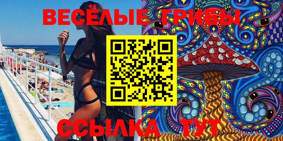 Галлюциногенные грибы мицелий Томск